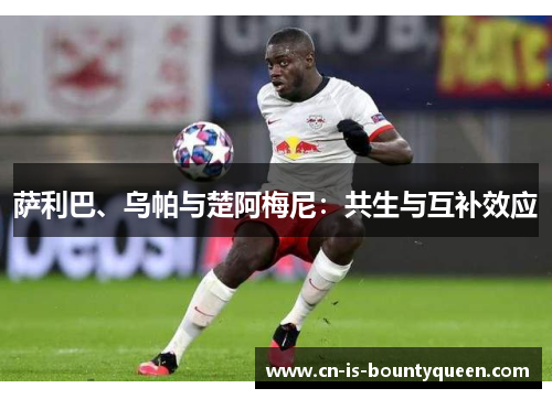 萨利巴、乌帕与楚阿梅尼:共生与互补效应 萨利巴、乌帕与楚阿梅尼:共生与互补效应